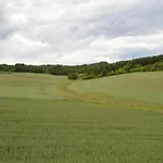 In Puygareau Near Poitiers *