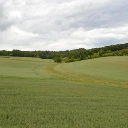 In Puygareau Near Poitiers *