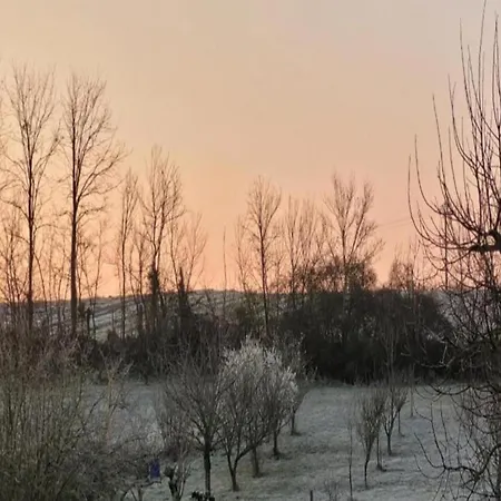 In Puygareau Near Poitiers 萨维尼苏菲