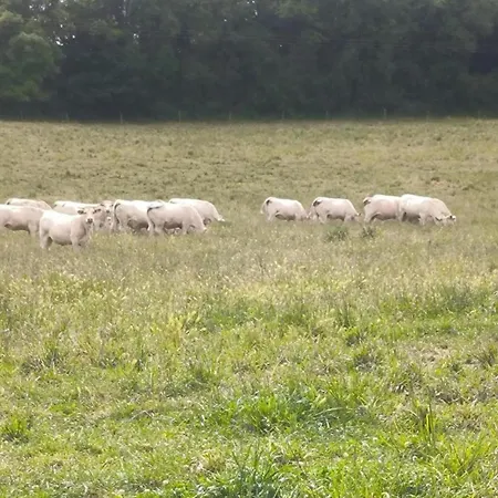 In Puygareau Near Poitiers * Savigny-sous-Faye