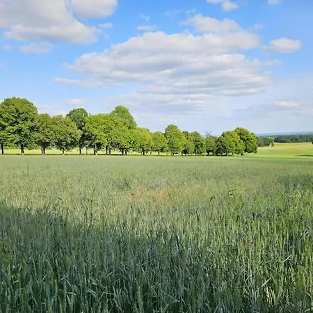 In Puygareau Near Poitiers