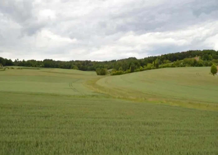 In Puygareau Near Poitiers *