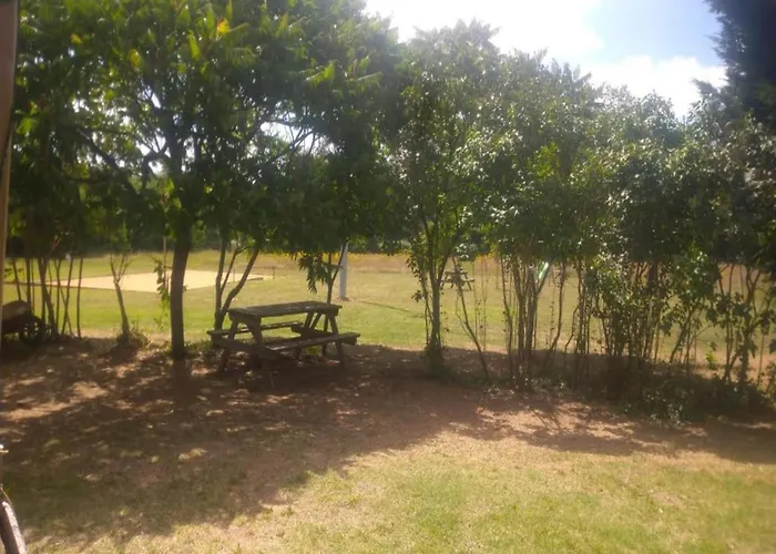 In Puygareau Near Poitiers *