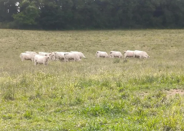 In Puygareau Near Poitiers * Savigny-sous-Faye