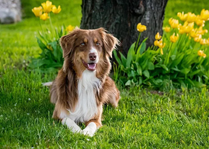 Casa de Férias In Puygareau Near Poitiers