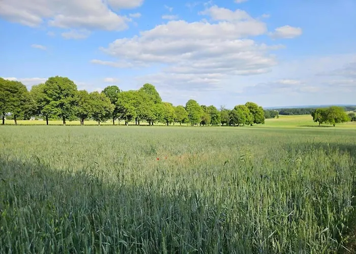 In Puygareau Near Poitiers